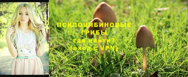 2c-b Остров