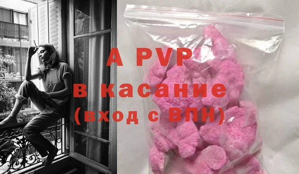 ECSTASY Осинники