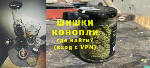 ПСИЛОЦИБИНОВЫЕ ГРИБЫ Елабуга