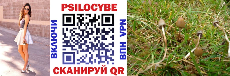 Псилоцибиновые грибы Psilocybe  площадка формула  Кропоткин 