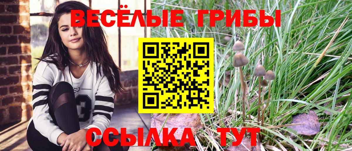 Кропоткин  Галлюциногенные грибы MAGIC MUSHROOMS  Вход с VPN 