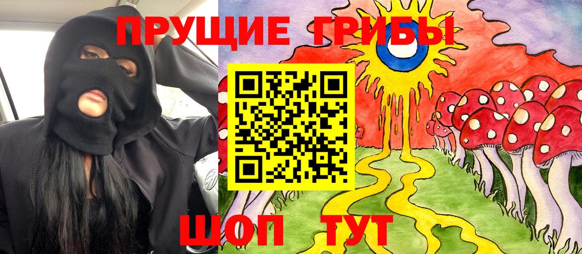 Бошки Шишки Кропоткин